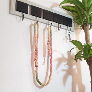Small Dog Rope Lead - Fruit Salad