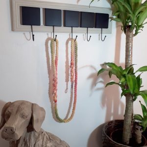 Small Dog Rope Lead - Fruit Salad