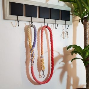 Big Dog Rope Lead - Hibiscus
