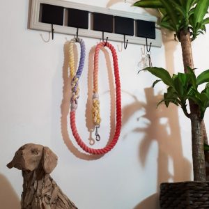 Big Dog Rope Lead - Hibiscus
