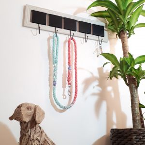 Small Dog Rope Lead - Fire & Ice