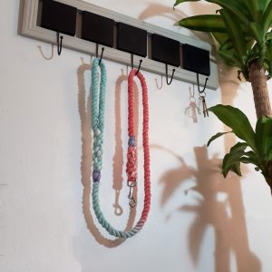 Small Dog Rope Lead - Fire & Ice