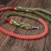 Small Dog Rope Lead - Festive