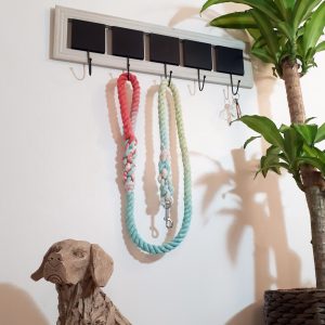 Big Dog Rope Lead - Aloha