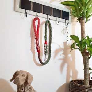 Big Dog Rope Lead - Jingle