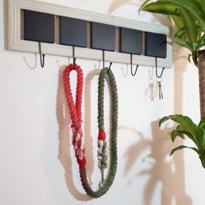 Big Dog Rope Lead - Jingle