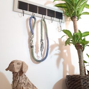 Big Dog Rope Lead - Lunar