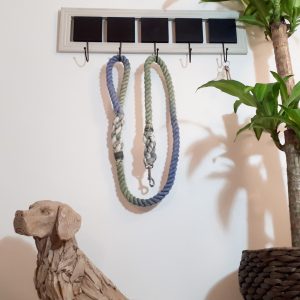 Big Dog Rope Lead - Lunar