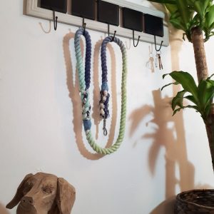Big Dog Rope Lead - Ocean