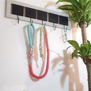 Big Dog Rope Lead - Paradise