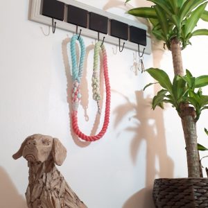 Big Dog Rope Lead - Paradise