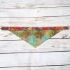 Reef Dog Bandana