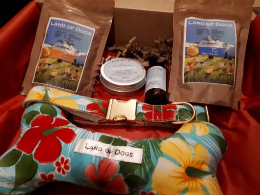 Land of Dogs Birthday Box